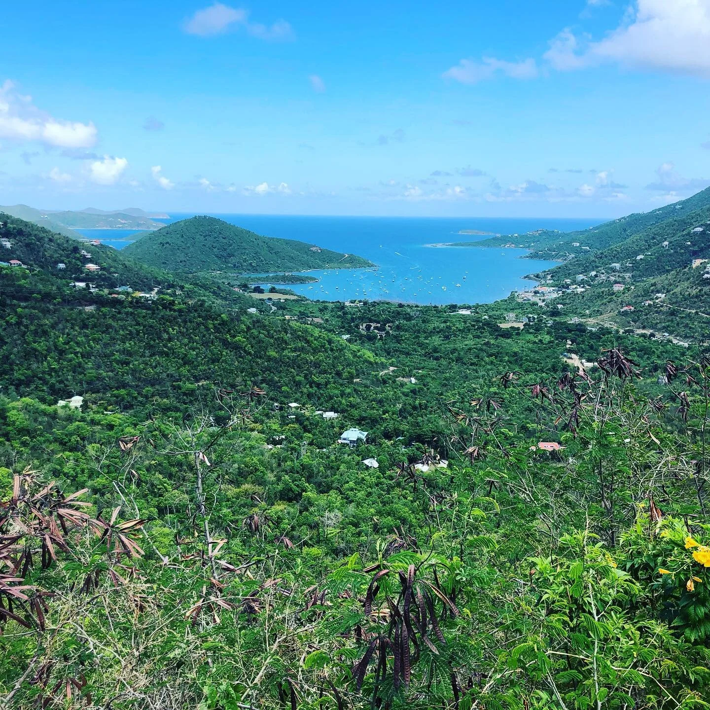 View over Coral Bay, St. John